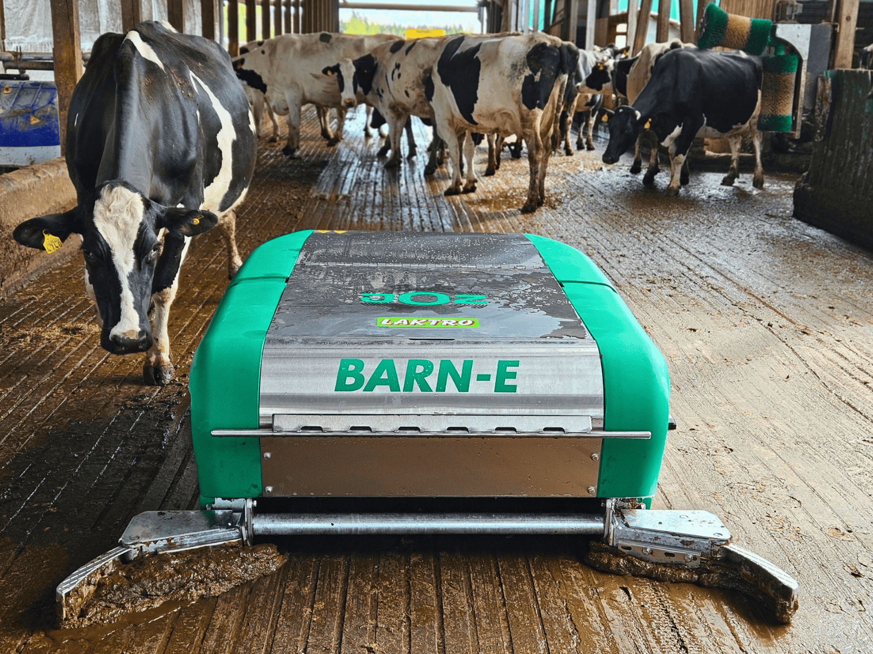 Barn-E – gudrais palīgs tīrai kūtij un veselām govīm