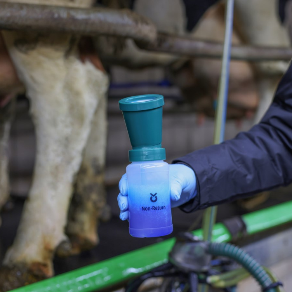 Dipēšanas trauks bez atplūdes, 300 ml