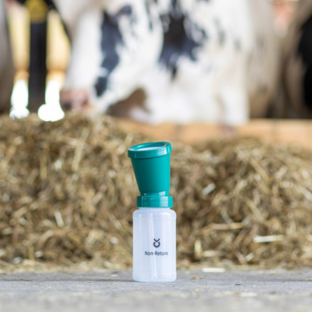 Dipēšanas trauks bez atplūdes, 300 ml