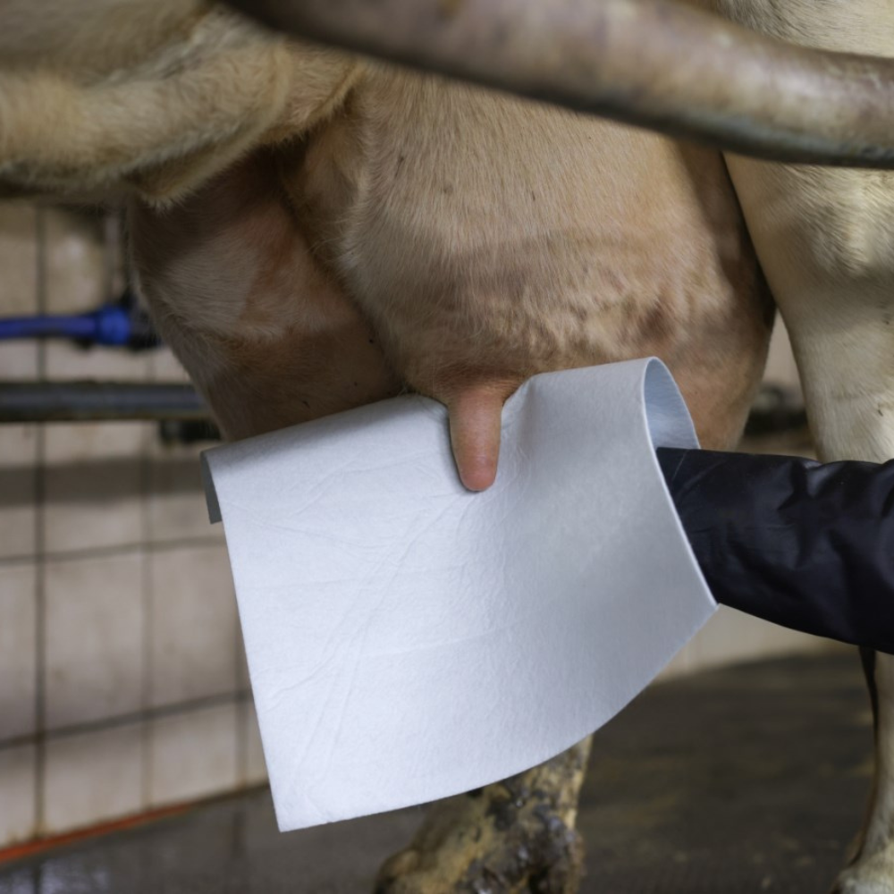 Tesmeņa salvetes UdderoClean Super