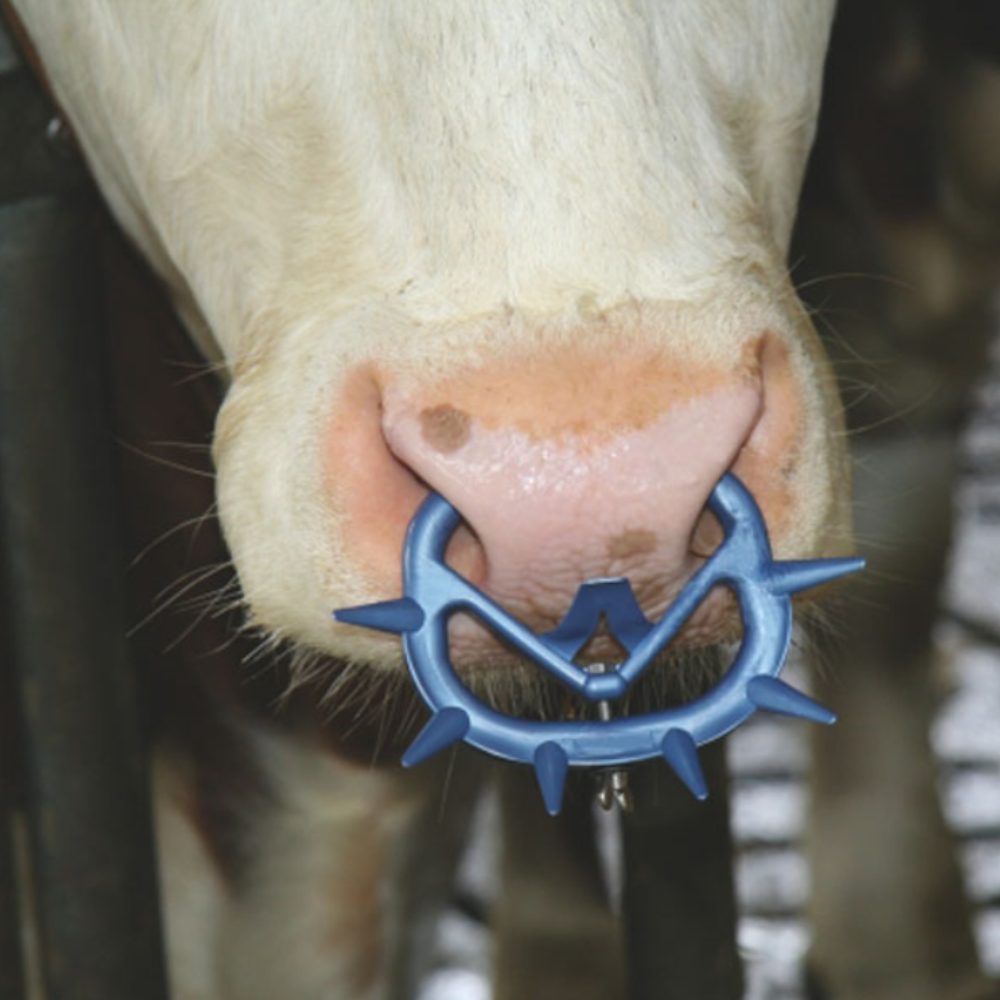 Pretzīšanas riņķis pieaugušiem liellopiem