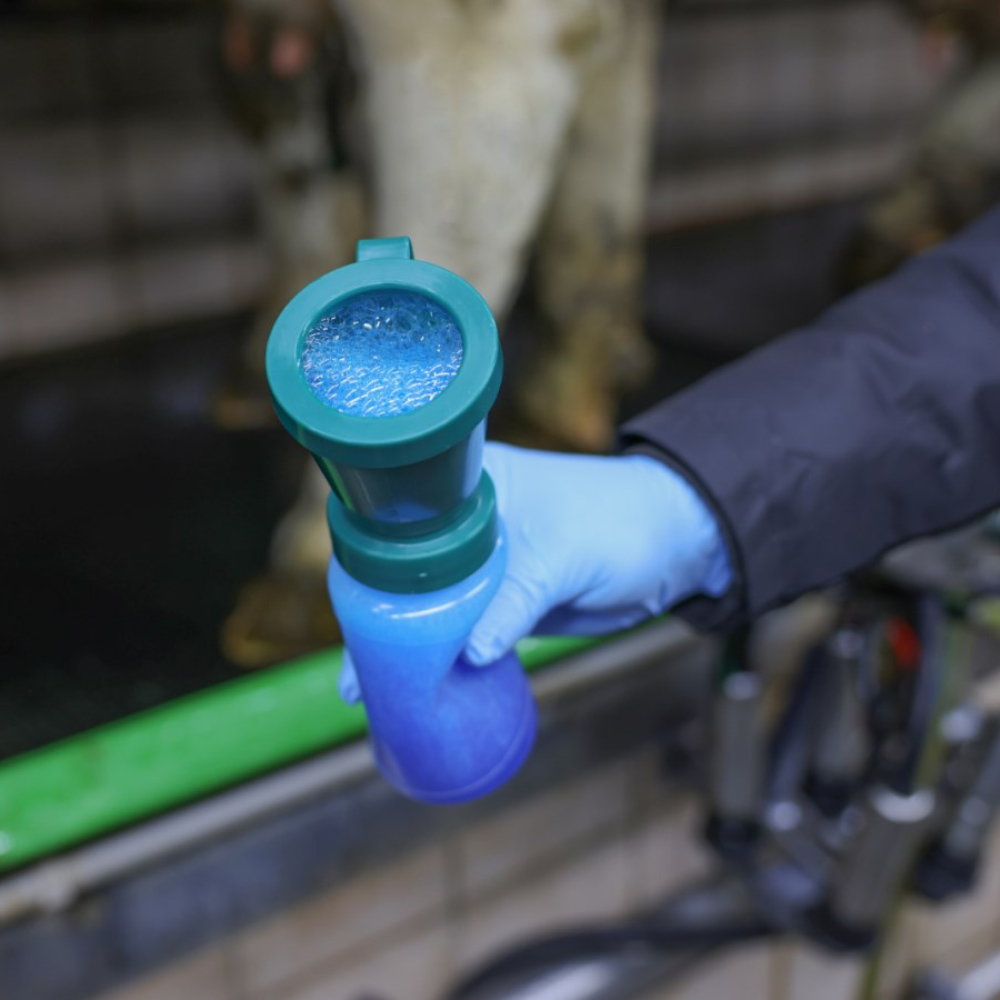 Dipēšanas trauks Foam Expert, 300 ml