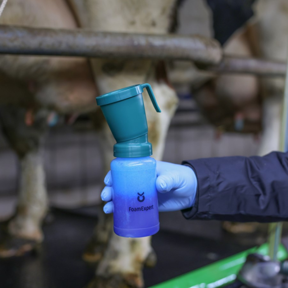 Dipēšanas trauks Foam Expert, 300 ml