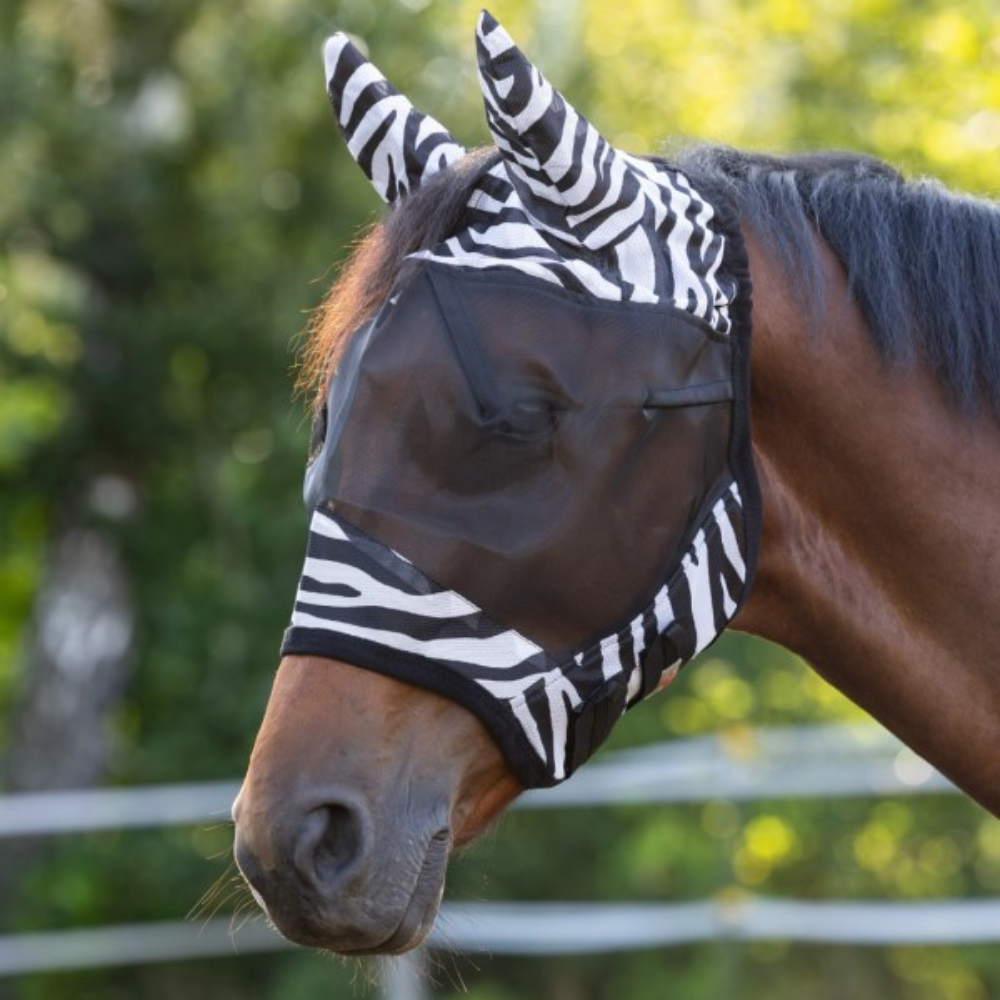 Insektu maska ar ausu aizsargiem, Zebra