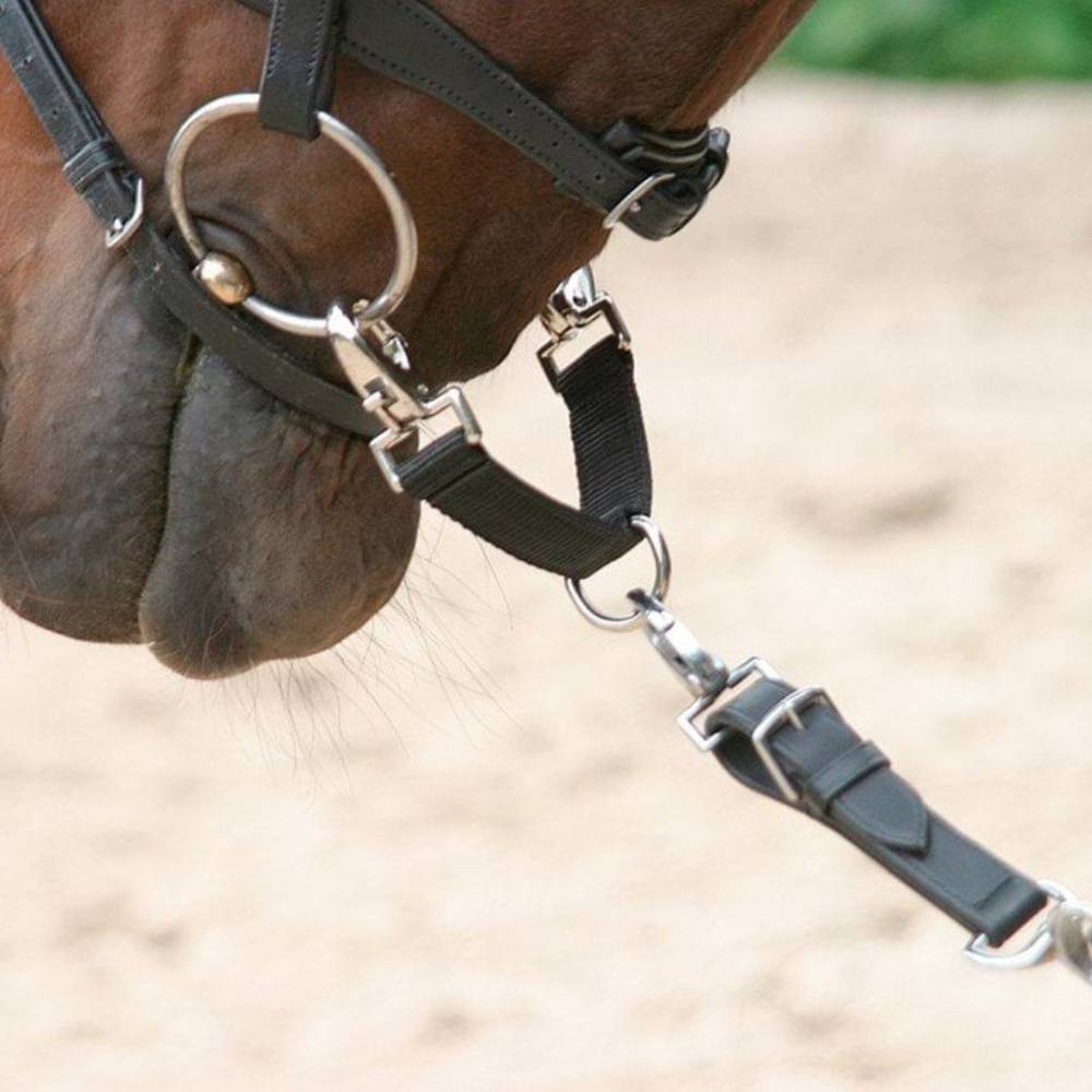 Hordošanas pavadas pagarinājums, neilona, melns