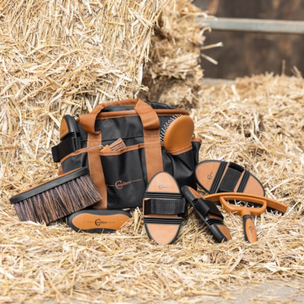 Zirgu kopšanas piederumu soma