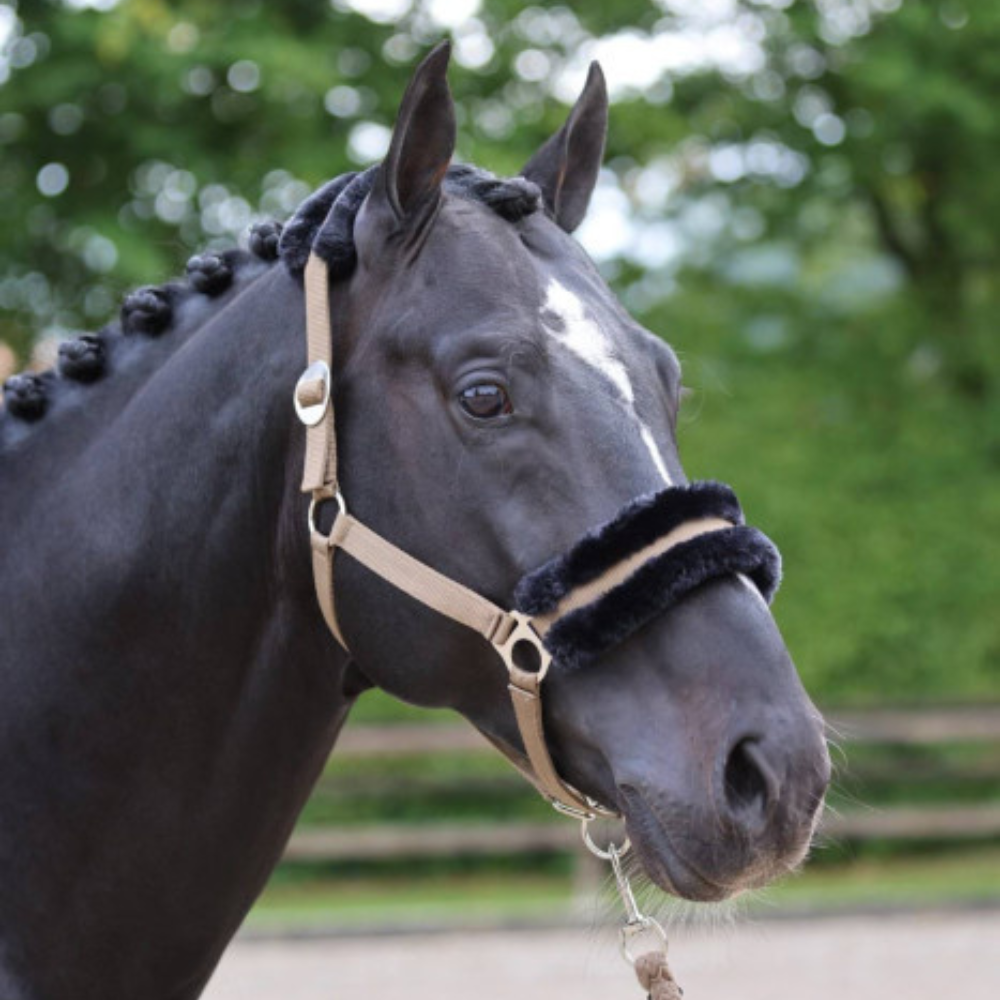 Apauši ClassicSoft, brūni