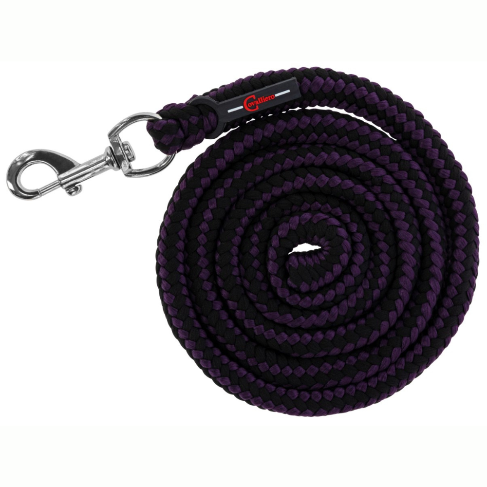 Pavada ar karabīni Hippo, 2 m, melna - violeta