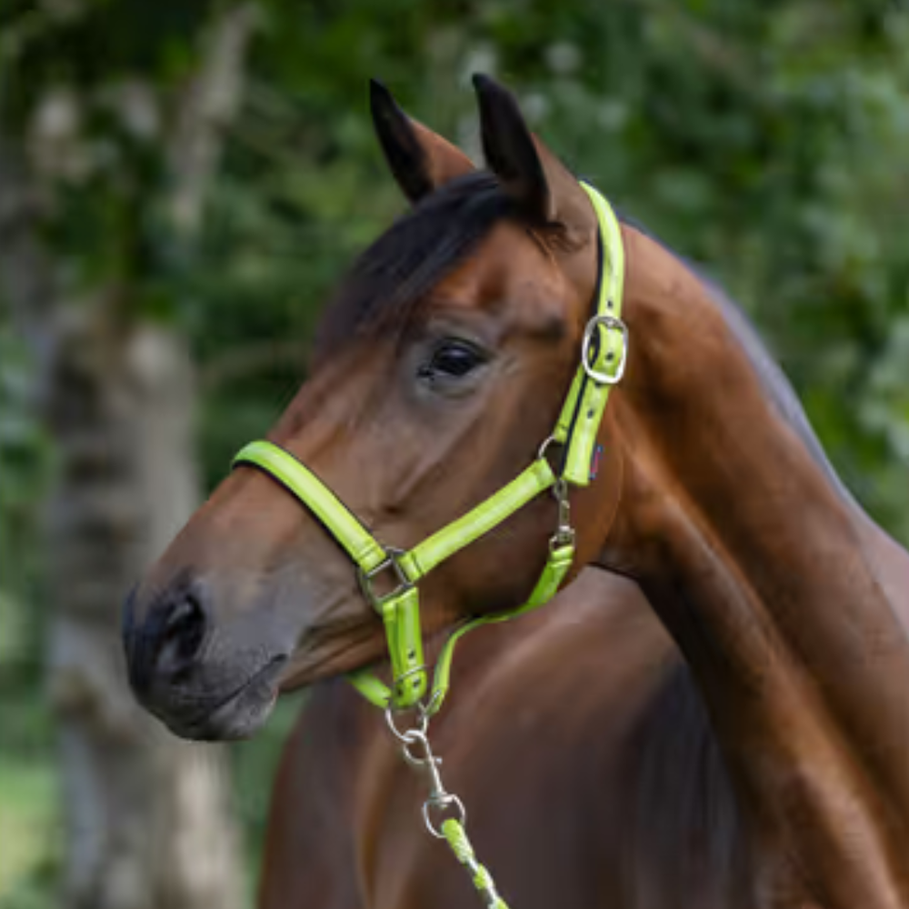 Apauši Mustang, zaļi