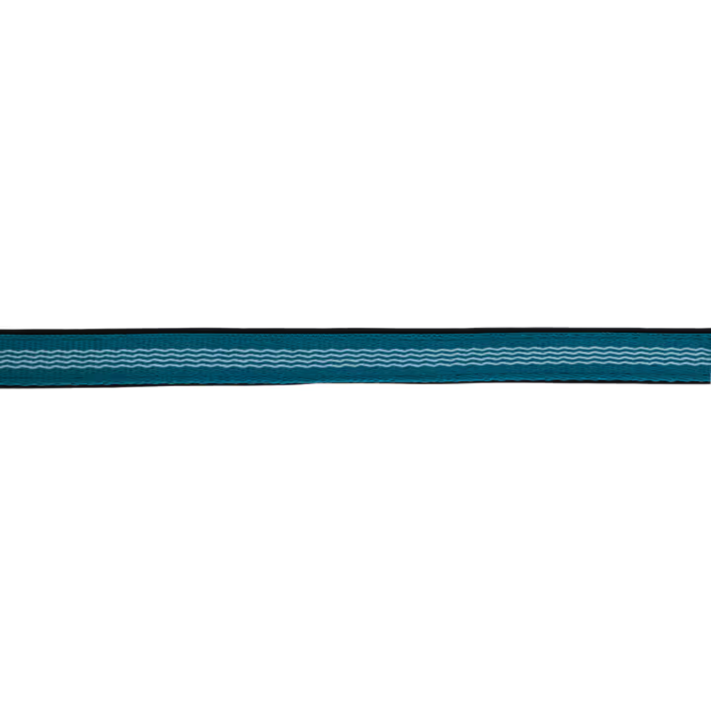 Apauši Mustang, zili